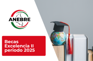 Becas excelencia II